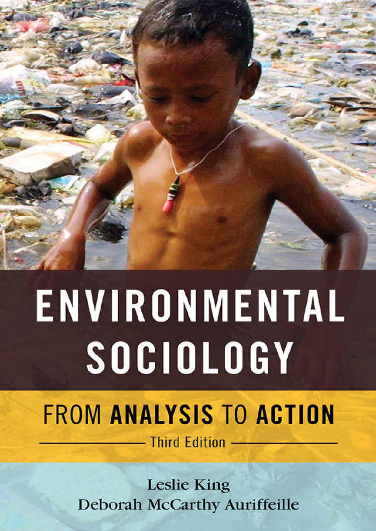 Environmental Sociology: From Analysis to Action