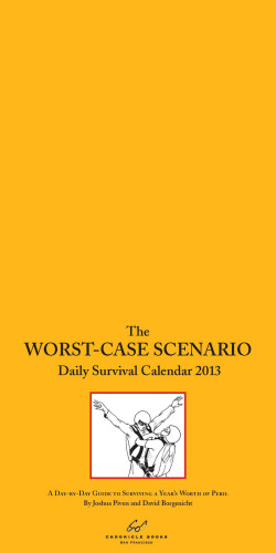 2013 Daily Calendar: Worst-Case Scenario