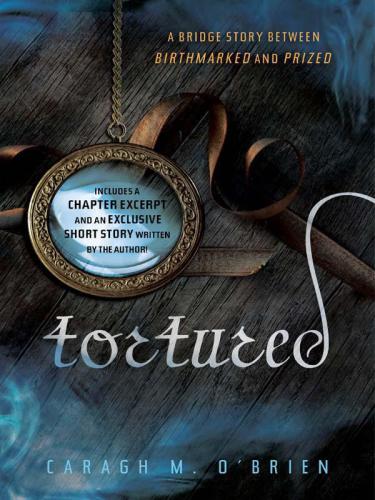 Tortured: A Bridge Story Between Birthmarked and Prized
