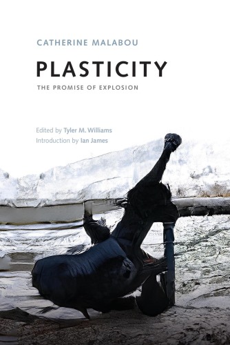 Plasticity: The Promise of Explosion