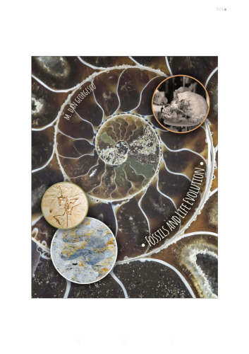 Fossils and Life Evolution