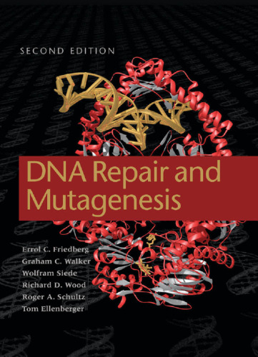 DNA repair and mutagenesis