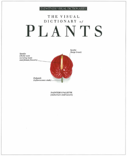 Visual dictionary of Plants