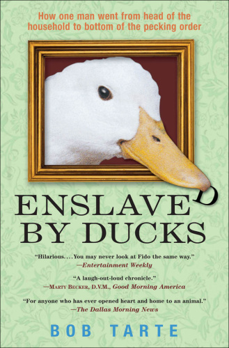 Enslaved by Ducks