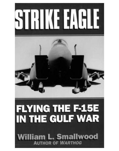 Strike Eagle: Flying the F-15E in the Gulf War