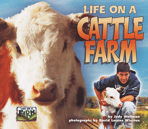 Life on a Cattle Farm (Life on a Farm)