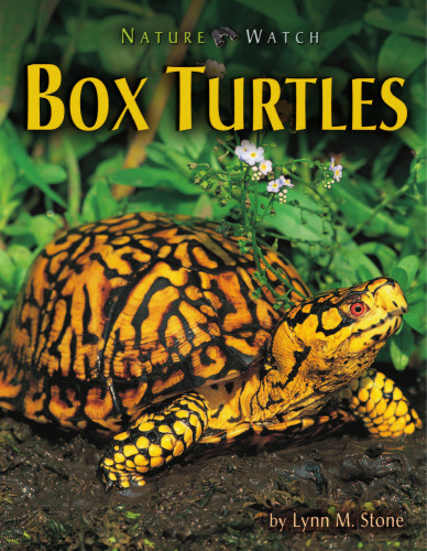 Box Turtles (Nature Watch)