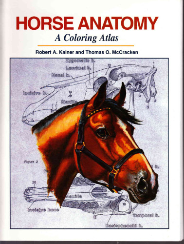 Horse Anatomy : A Coloring Atlas