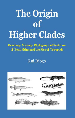 The Origin of Higher Clades