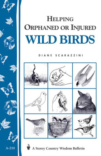 Helping Orphaned or Injured Wild Birds