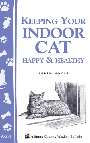 Keeping Your Indoor Cat Happy & Healthy
