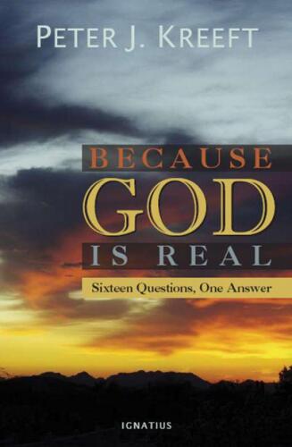 Because God is Real: Sixteen Questions, One Answer