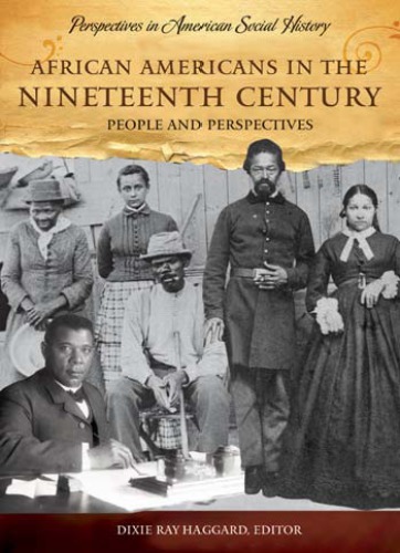 African Americans in the Nineteenth Century: People and Perspectives (Perspectives in American Social History Series)