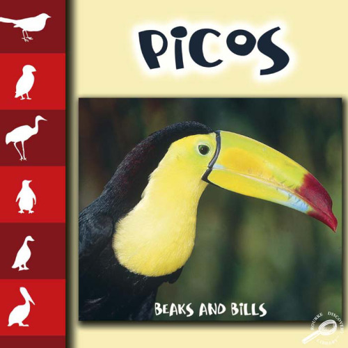 Picos Beaks and Bills
