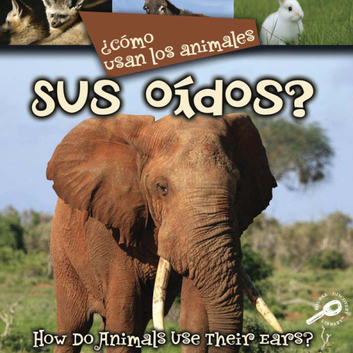 Como Usan Los Animales Sus Oidos? How Do Animals Use Their Ears?