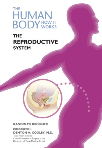 The Reproductive System (The Human Body, How It Works)