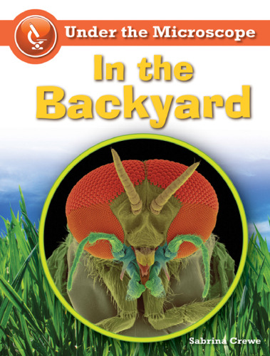 In the Backyard (Under the Microscope)