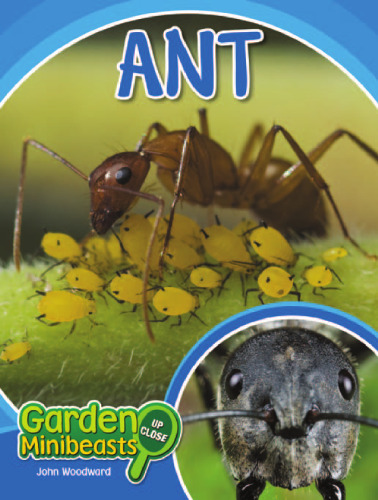 Ant (Garden Minibeasts Up Close)