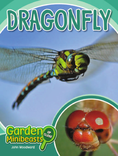 Dragonfly (Garden Minibeasts Up Close)
