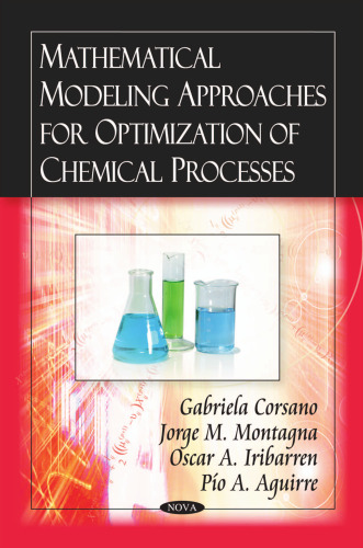 Mathematical Modeling Approaches for Optimization of Chemical Processes