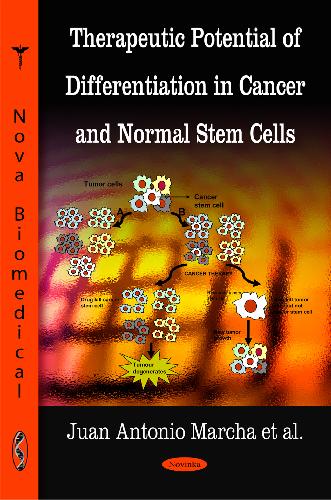 Therapeutic Potential of Differentiation in Cancer and Normal Stem Cells