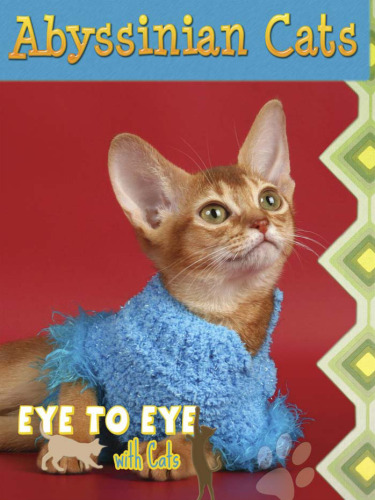 Abyssinian Cats