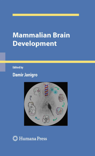 Mammalian Brain Development