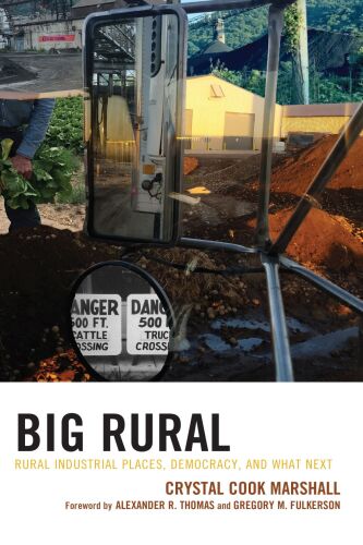 Big Rural: Rural Industrial Places, Democracy, and What Next (Studies in Urban–Rural Dynamics)