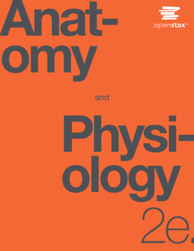 Anatomy and physiology