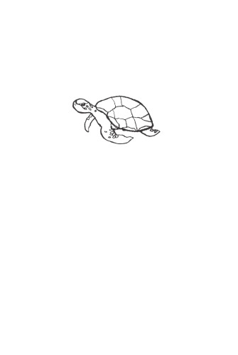 Chelonia Green: Champion of Turtles
