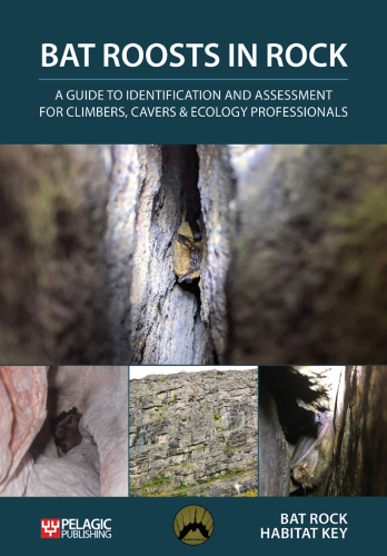 Bat Roosts in Rock