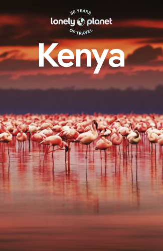 Lonely Planet Kenya 11 (Travel Guide)