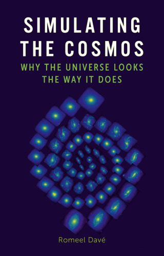 Simulating the Cosmos: Why the Universe Looks the Way It Does