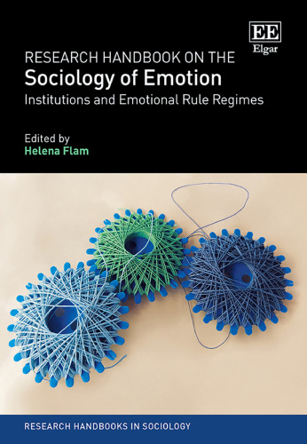 Research Handbook on the Sociology of Emotion: Institutions and Emotional Rule Regimes (Research Handbooks in Sociology series)
