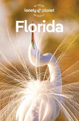 Lonely Planet Florida 10 (Travel Guide)