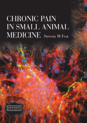Chronic Pain in Small Animal Medicine