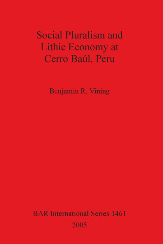 Social Pluralism and Lithic Economy at Cerro Baúl, Peru