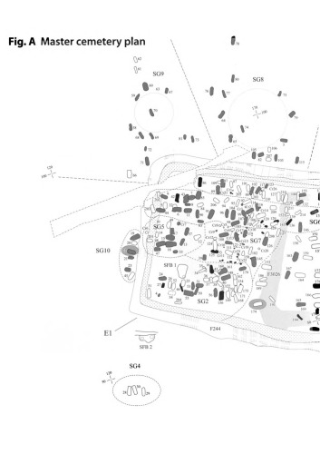 Wasperton: A Roman, British and Anglo-Saxon Community in Central England