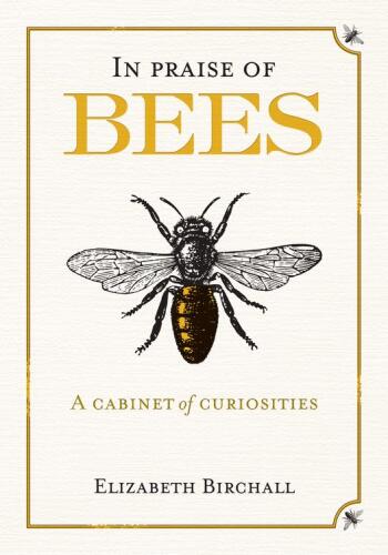 In Praise of Bees: A Cabinet of Curiosities