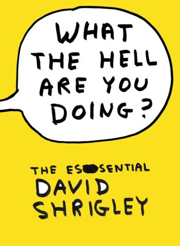 What the Hell Are You Doing?: The Essential David Shrigley