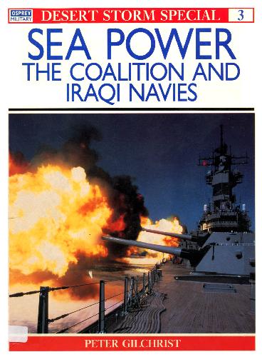 Sea Power: The Coalition and Iraqi Navies