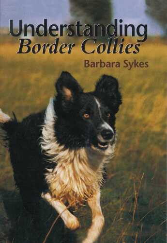 Understanding Border Collies