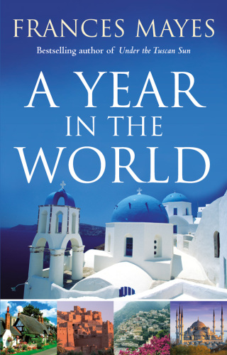 A Year in the World