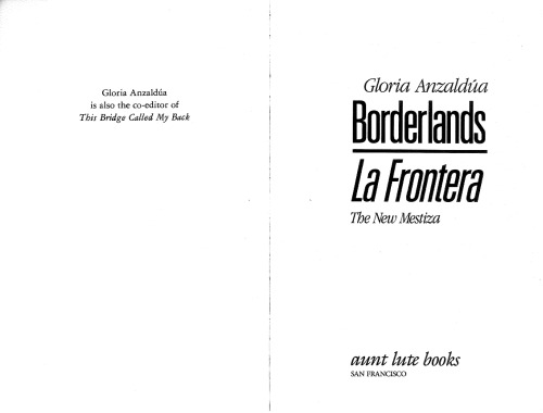 Borderlands La Frontera: The New Mestiza