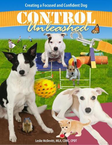 : Creating a Focused and Confident Dog