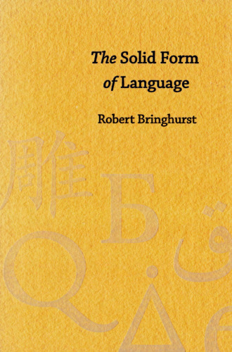 The Solid Form Of Language: An Essay On Writing And Meaning