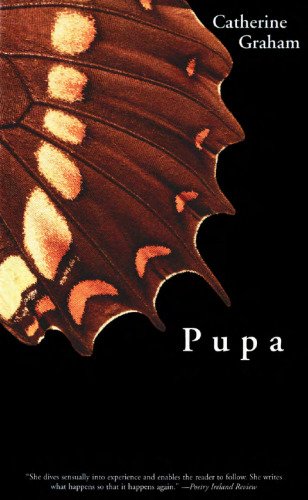 Pupa
