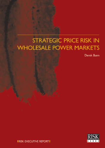 Strategic Price Risk in the Wholesale Power Markets