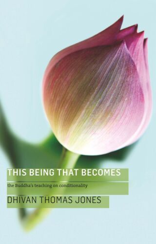 This Being, That Becomes: The Buddha’s Teaching on Conditionality