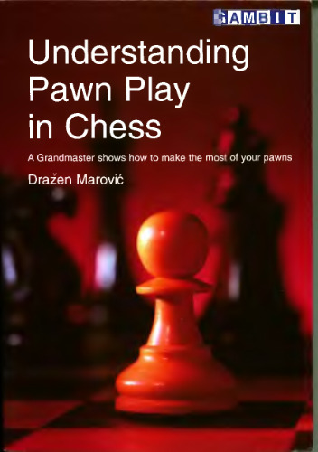 Understanding Pawn Play in Chess